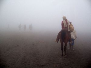 1374721551881046217_300x225