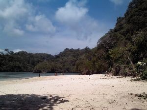 1374721705935019926_300x225