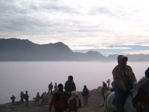 bromo-3