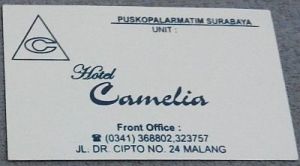 camelia