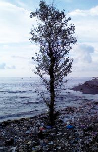 sampah di pantai Taman Loang Baloq