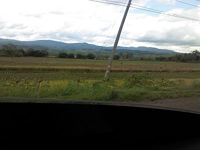 ke yogya-sawah