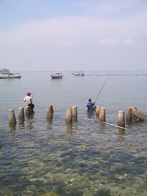 kelor-mancing