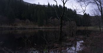 under the skin-hutan