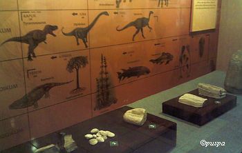 Museum NTB-jaman prasejarah