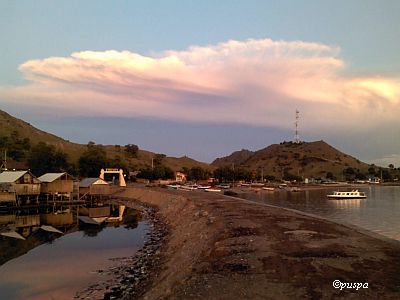 Pagi Hari di Desa Nelayan Poto Tano