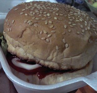 burger ari (2)
