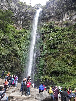 di coban rondo ada monyet