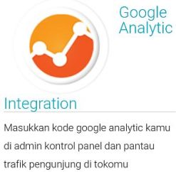 Jejualan-google analytic