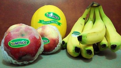 Golden melon, pisang cavendish dan apel Malang