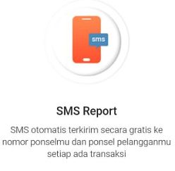 sms report
