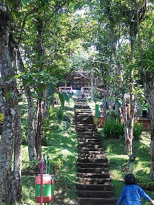 Kampoeng Kopi Banaran yang Sejuk dan Asri