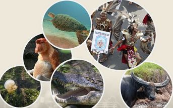 Ikon Borneo (sumber: log.viva.co.id)