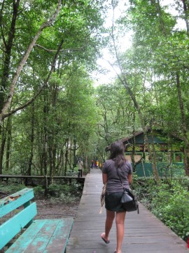 Hutan Kota di TarakanIMG_8163