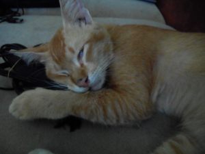 hati-hati dengan sosok maya