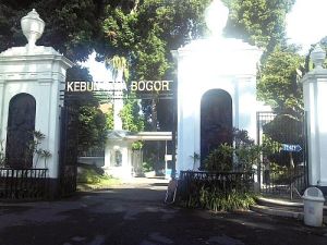 Menambah Pengetahuan dan Menenangkan Pikiran