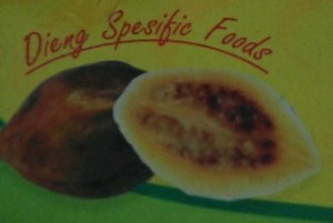 Carica mirip pepaya