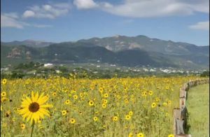 youtube proprio fine