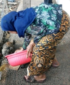 IMG_20160426_134013-303x370