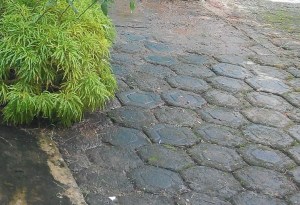 Membersihkan paving