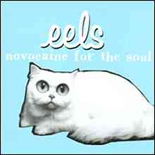 Eels-NovocaineForTheSoul