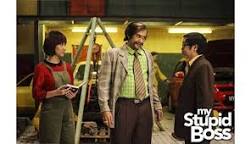my stupid boss