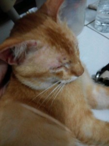 img_20161004_191455-480x640