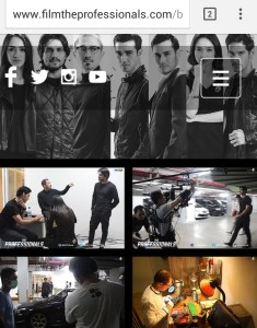 Website The Professionals