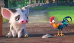 moana-hewan