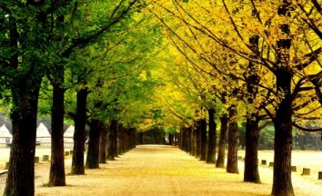 Pulau nami (sumber: World Of Traveler)