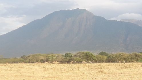 menulis