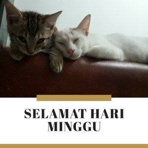 Selamat hari minggu