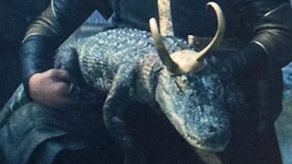 Alligator Loki