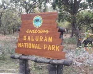 Baluran