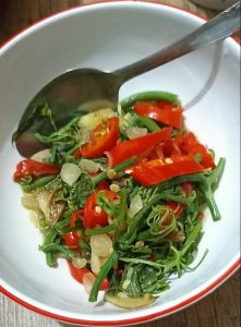 Pucuk labu