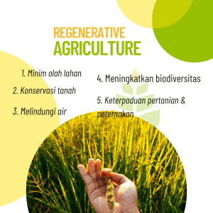 Danone Community Engagement Day 2022