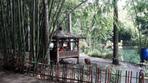 Kebun Pring inilah sumber kehidupan Desa Sanankerto