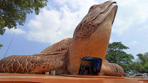 Kura-kura Itu Ingin Menyentuh Langit

