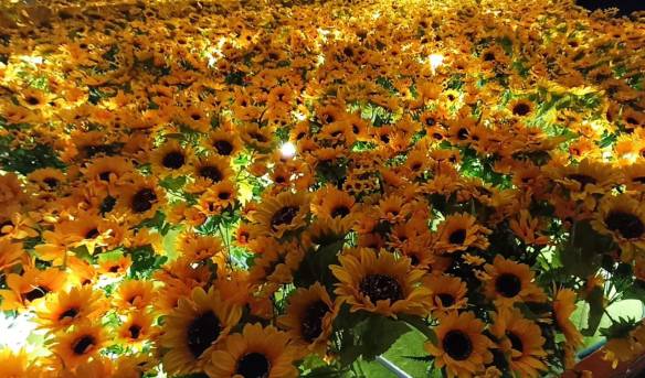 Bunga matahari