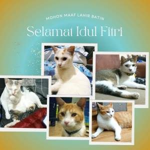 Selamat Idul Fitri