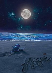 Anak penyu dalam hope