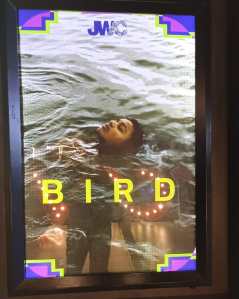 Film bird