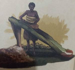 “Sagu Papua untuk Dunia”: Sagu dan Ketahanan Pangan Ala Papua