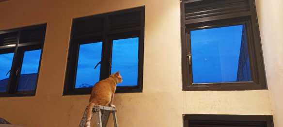 Ipik menatap jendela