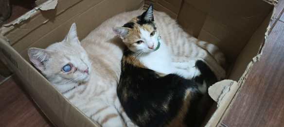 Dan Hujan Pun Kembali Menderas